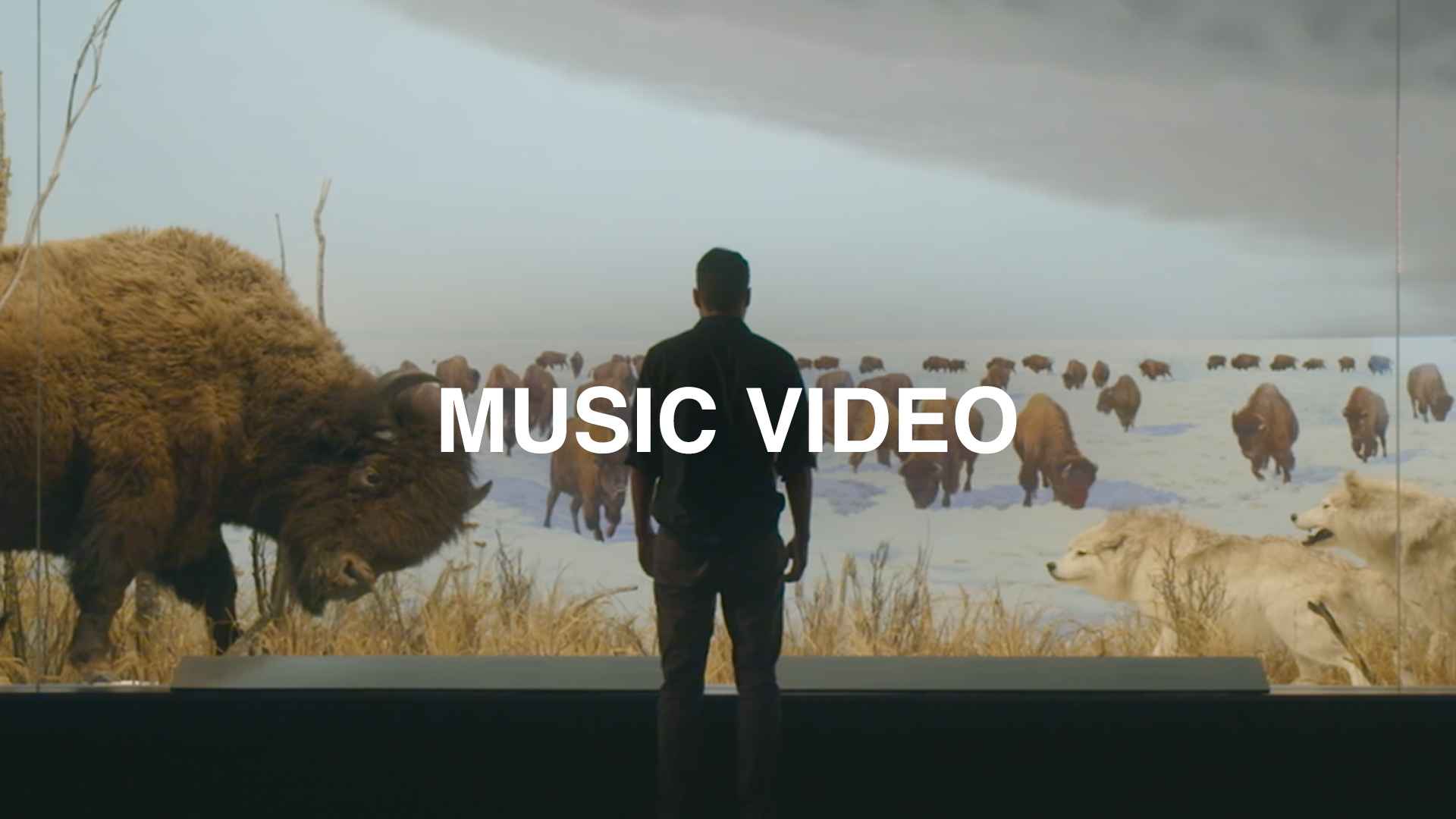 musicvideo