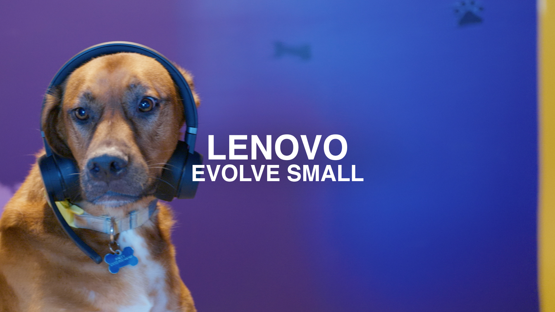 lenovo_evolvesmall
