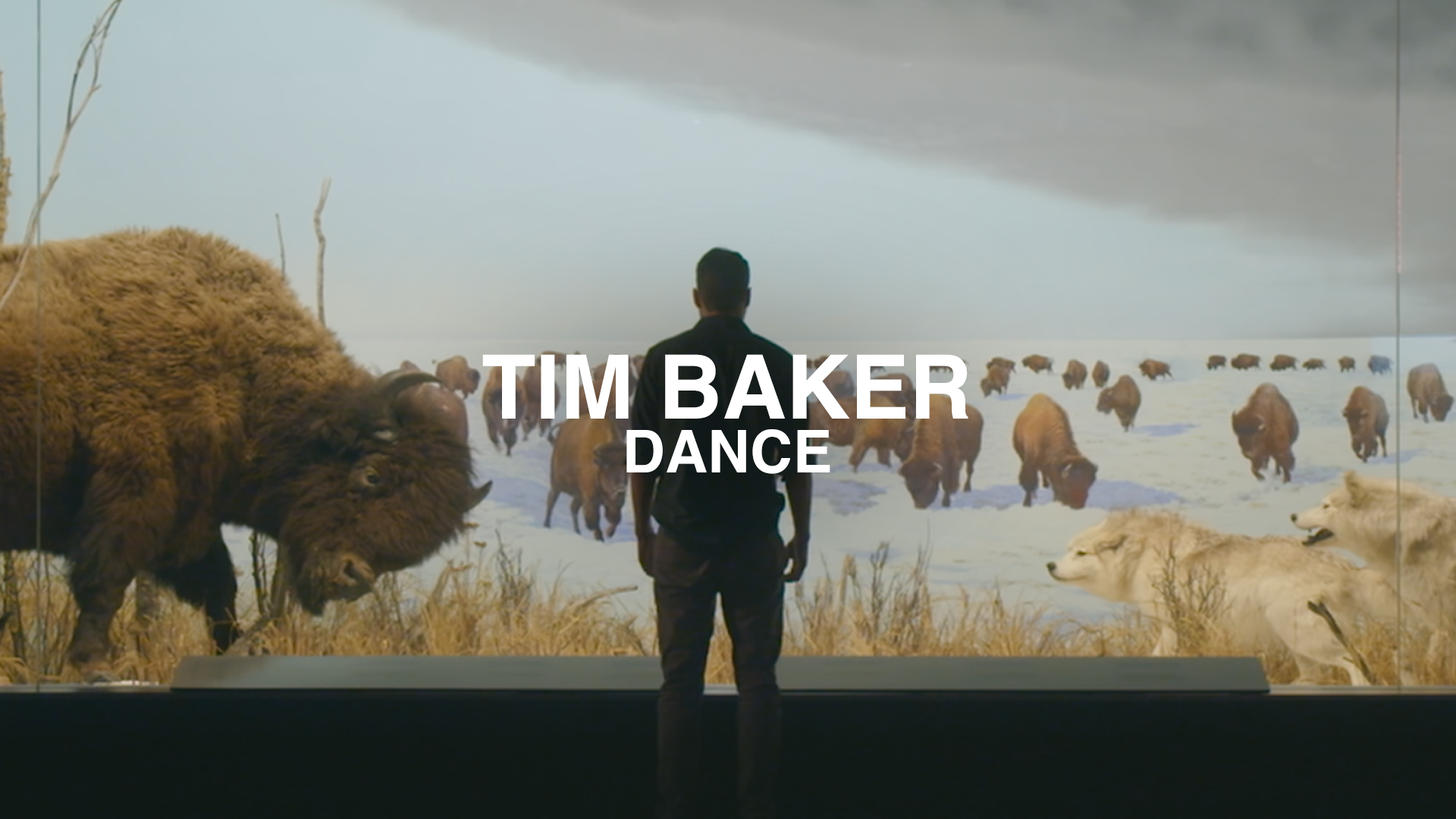 timbaker_dance