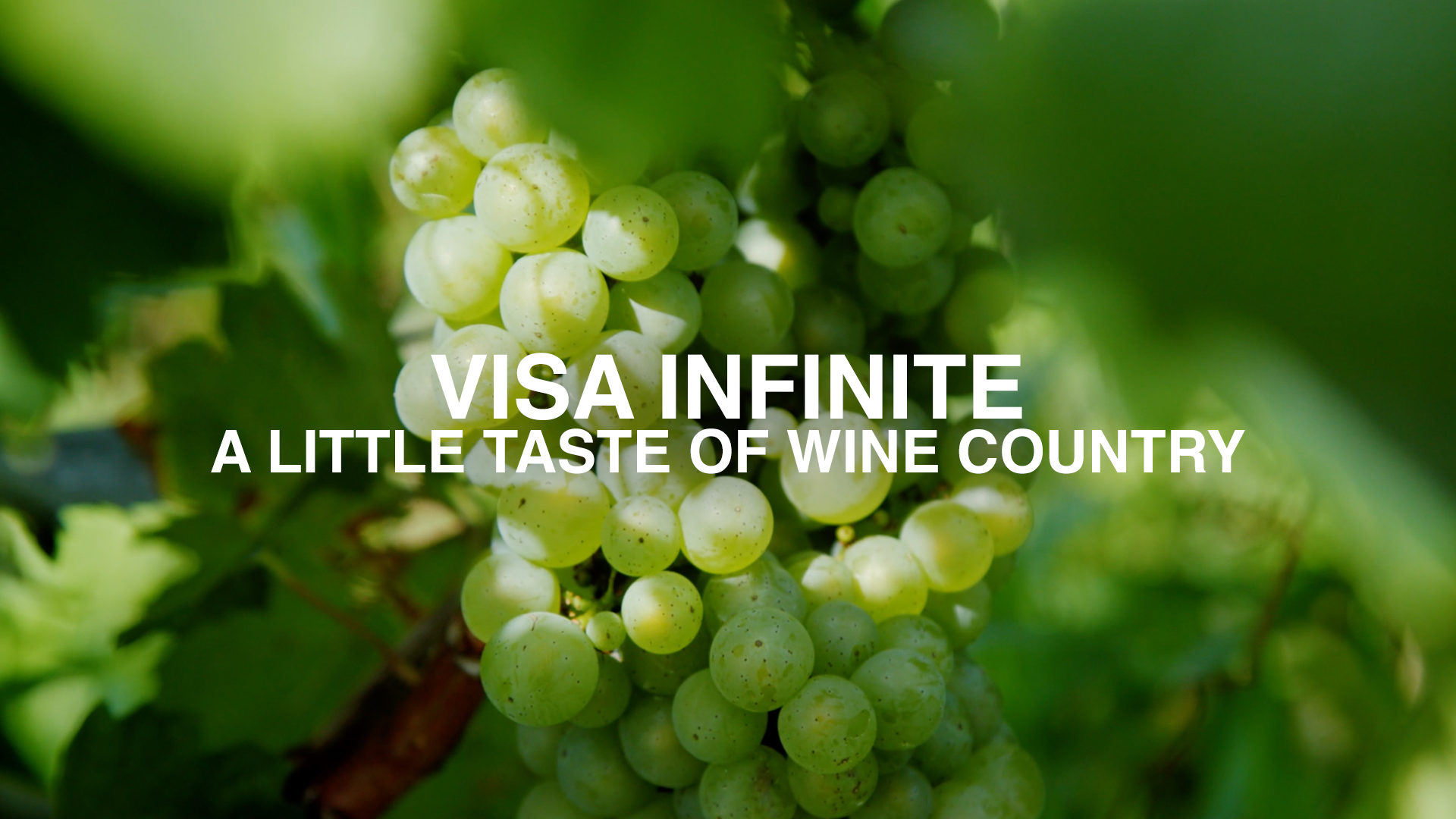 visa_infinite